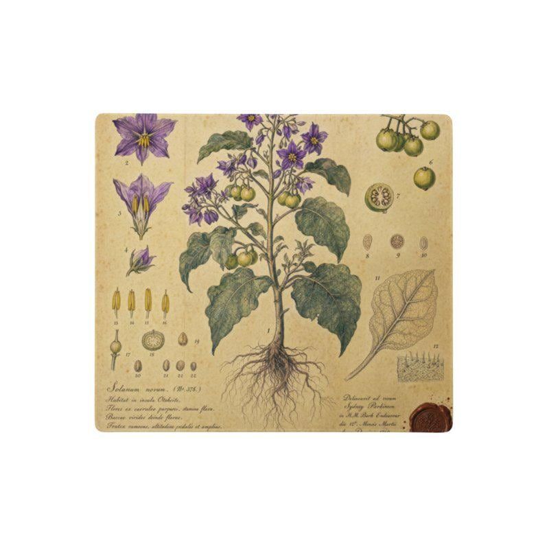 Schreibtischunterlage Mauspad - Merian (Botanik)