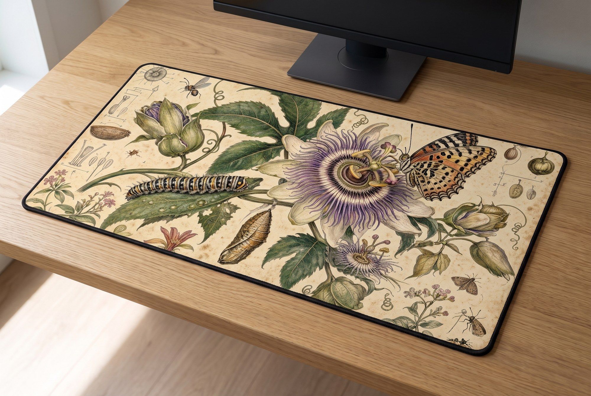 Schreibtischunterlage Mauspad - Merian (Botanik)