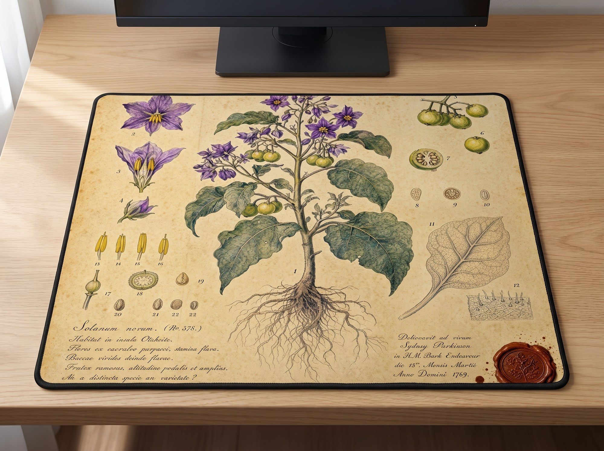 Schreibtischunterlage Mauspad - Merian (Botanik)